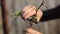 Pruning fruit trees with garden secateurs in spring garden