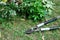 Pruning loppers for gardening