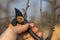 Pruning with pruning shears in spring. Gardener pruns the fruit trees by pruner shears. Farmer hand with garden secateurs on