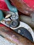 Pruning shears