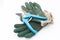 Pruning shears with gloves