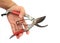 Pruning Shears with hand