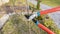 Pruning the side shoot of a columnar apple tree. Seasonal spring pruning of the orchard with bright garden scissors according to