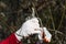 Pruning tree in bright red gloves