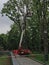 Pruning trees in a park with a mechanical motorized lift