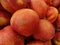 Prunus persica nucipersica \'Yellow Nectarine\'