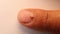 Pseudoscorpion. False scorpion size comparison on the fingernail