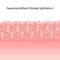 Pseudostratified Ciliated Epithelium science background vector