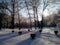 Pshemysl, Poland. Beautyful winter view in the Park of Lubomirskich.