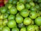 Psidium guajava - Guava fruits for sale. Kerala, India