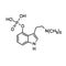 Psilocybin chemical formula doodle icon, vector illustration