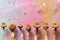 Psilocybin mushrooms on pink bright colorful background. Psychedelic magic mushrooms Golden Teacher.