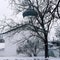 PSKOV, RUSSIA Orthodox church, winter landscape , Pskov Kremlin