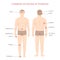 Psoriasis illness diagram