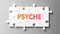 Psyche complex like a puzzle - pictured as word Psyche on a puzzle pieces to show that Psyche can be difficult and needs