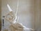 Psyche revived by Cupid Kiss aka Amor and Psyche ( Antonio Canova) Paris