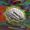 Psychedelic Brain