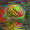 Psychedelic Brain