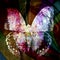 Psychedelic Butterfly  texture Background