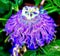 Psychedelic, Illuminated Purple Passion Flower