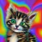 Psychedelic Kitten