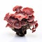 Psychedelic Red Fungus On White Background: Terracotta Beauty Inspired By Tetsuya Nomura