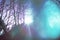 Psychic waves of light in the forest, spirituality and religious belief, inner dimension, personal growth, holy spirit