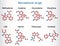 Psychoactive drugs: lysergic acid diethylamide LSD, oxycodone, heroin, codeine, methadone, morphine, cocaine, psilocybin.