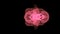 Psychology concept. Upside-down video view of pink human brain structure formed of abstract space mist blurring.