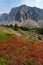 Ptarmigan Cirque Trail, Kananaskis, Alberta, Canada