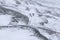 Ptarmigan close up portrait amongst the snow in scotland