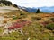 Ptarmigan Ridge with fall colors