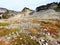 Ptarmigan Ridge trails with fall colors