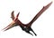 Pteranodon