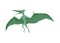 Pteranodon dinosaur flat icon. Colored isolated prehistoric reptile monster on white background. Vector cartoon dino