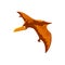 Pteranodon dinosaur isolated Pterodactyl dino bird