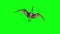 Pteranodon Dinosaurs Fly Down Green Screen 3D Rendering Animation