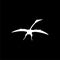 Pterodactyl icon or logo, Pteranodon bird on dark background