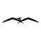 Pterodactyl icon, Vector drawing, Pteranodon bird