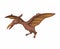 Pterodactyl or pterosaurs is prehistoric animal, figure character in cartoon illustration vector