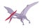 Pterodactyl vector illustration isolated in white background