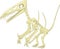 Pteronodon skeleton cartoon