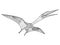 Pterosaur coloring book for adults vector