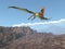 Pterosaur Thalassodromeus flying over a rocky landscape