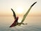 Pterosaur Thalassodromeus at sunset