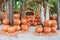 PThe strange pots sculpture look like human face in Nong Nooch tropical garden in Pattaya