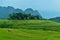 Pu Luong nature preserve in Thanh Hoa province of Vietnam