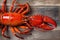 pub crayfish food crawfish red lobster claw cooked seafood boiled background. Generative AI.