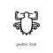 Pubic lice icon. Trendy modern flat linear vector Pubic lice icon on white background from thin line Diseases collection