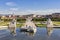 Public Baroque park of Belvedere Palace Vienna at a sunny day